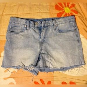 Blank NYC The Fulton Jean Shorts